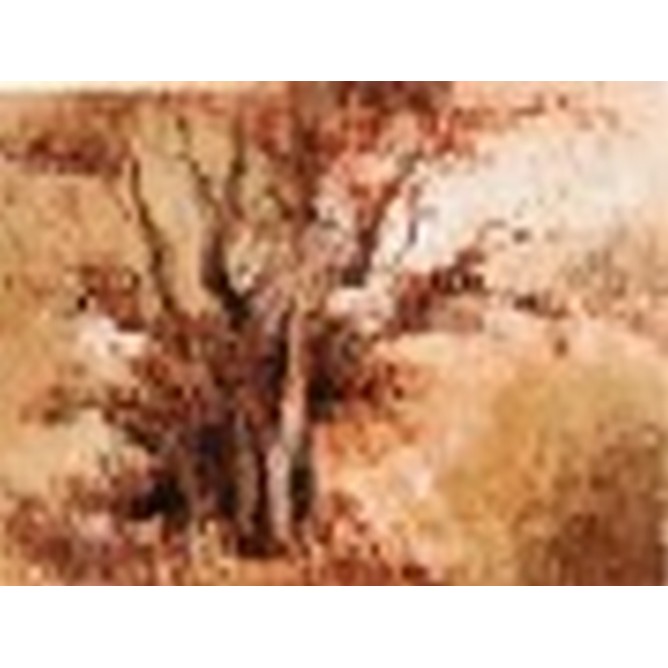 Arbol del olvido